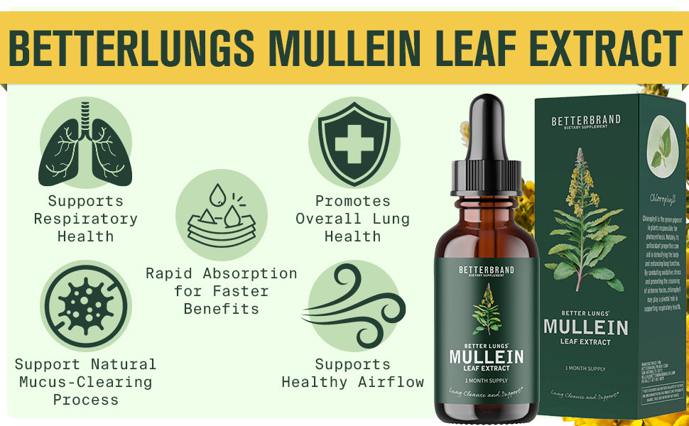 Extrait de feuille de molène BetterLungs